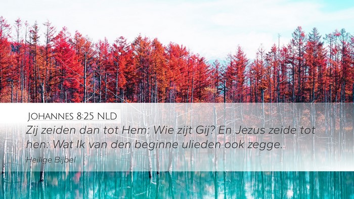 Johannes 8:25 NLD Bible Verse Image