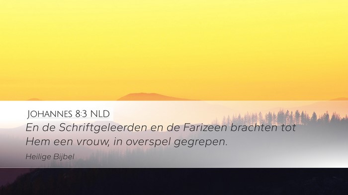 Johannes 8:3 NLD Desktop Wallpaper - En de Schriftgeleerden en de Farizeen brachten - Desktop Bible Verse Wallpaper