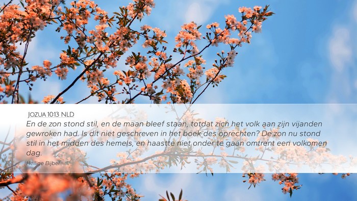 Jozua 10:13 NLD Bible Verse Image