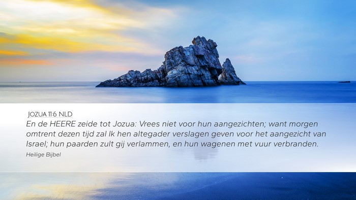 Jozua 11:6 NLD Bible Verse Image