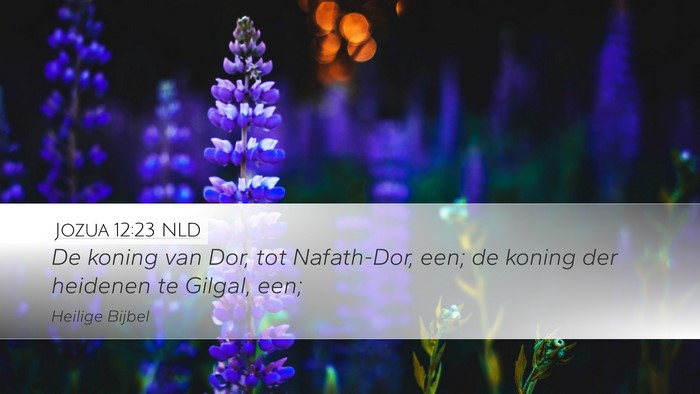 Jozua 12:23 NLD Bible Verse Image