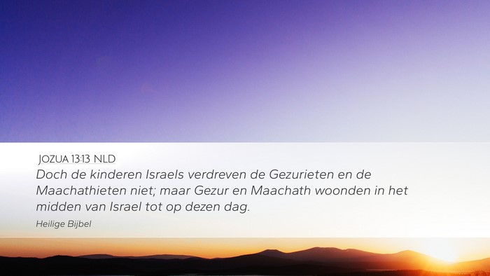 Jozua 13:13 NLD Bible Verse Image