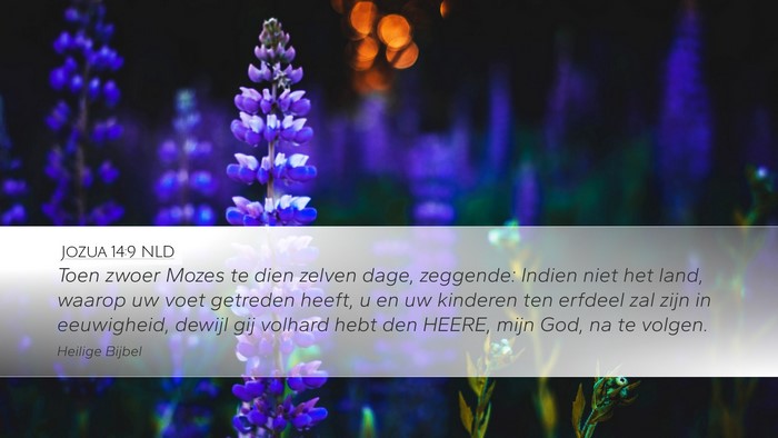 Jozua 14:9 NLD Desktop Wallpaper - Toen zwoer Mozes te dien zelven dage, zeggende: - Desktop Bible Verse Wallpaper