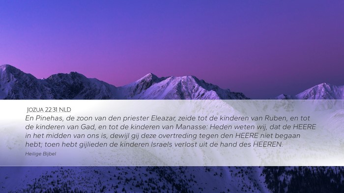 Jozua 22:31 NLD Bible Verse Image