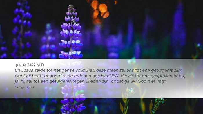 Jozua 24:27 NLD Bible Verse Image