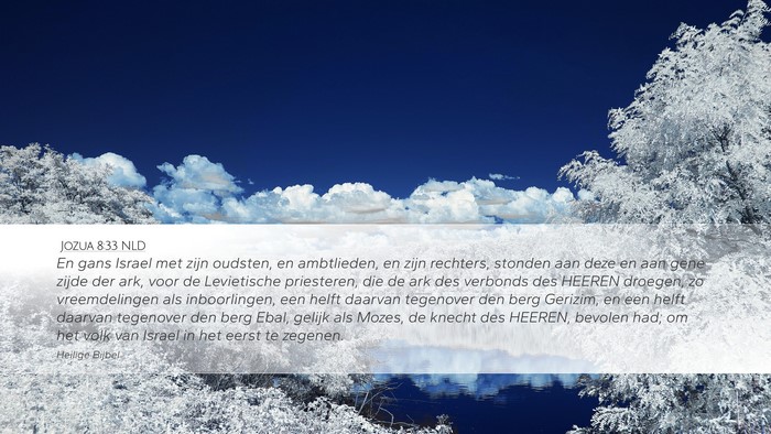Jozua 8:33 NLD Desktop Wallpaper - En gans Israel met zijn oudsten, en ambtlieden, - Desktop Bible Verse Wallpaper