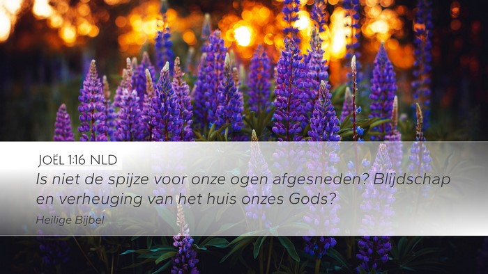 Joël 1:16 NLD Bible Verse Image