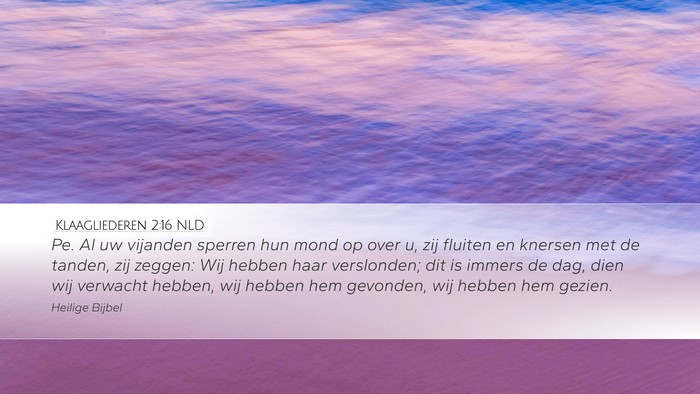 Klaagliederen 2:16 NLD Bible Verse Image