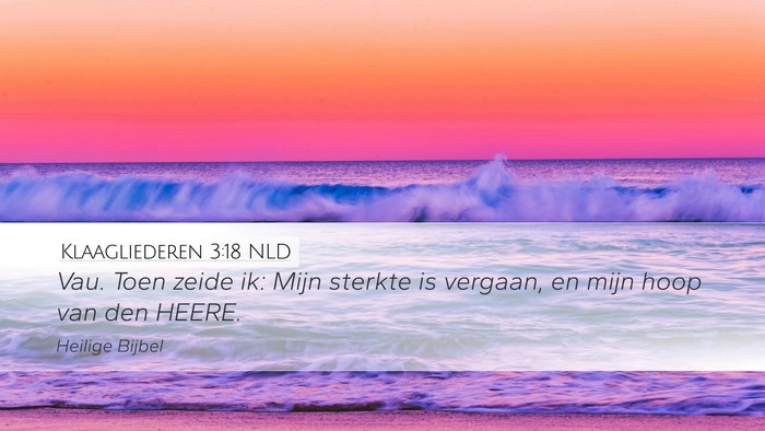 Klaagliederen 3:18 NLD Bible Verse Image