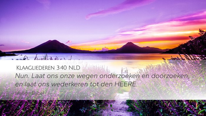 Klaagliederen 3:40 NLD Bible Verse Image