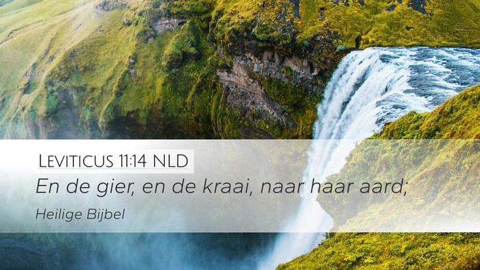 Leviticus 11:14 NLD Desktop Wallpaper - En de gier, en de kraai, naar haar - Desktop Bible Verse Wallpaper
