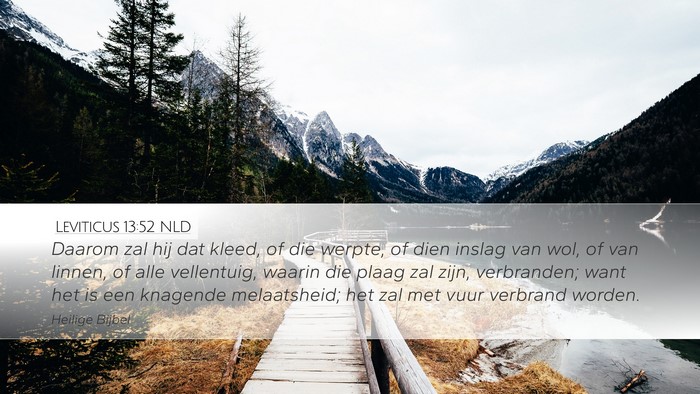 Leviticus 13:52 NLD Desktop Wallpaper - Daarom zal hij dat kleed, of die werpte, of dien - Desktop Bible Verse Wallpaper