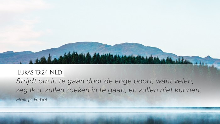 Lukas 13:24 NLD Bible Verse Image