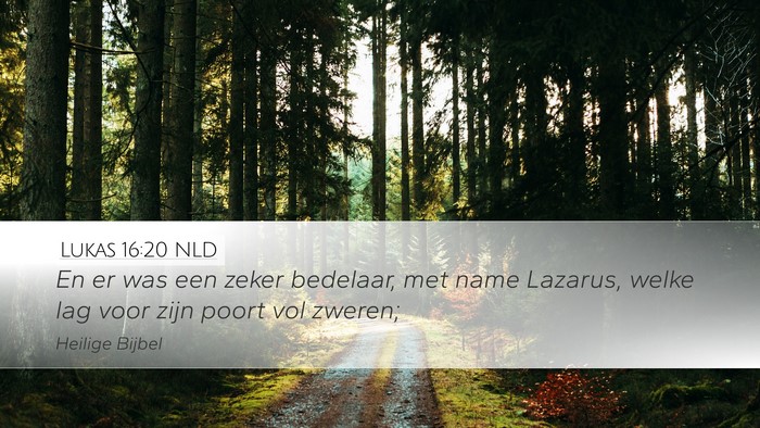 Lukas 16:20 NLD Bible Verse Image