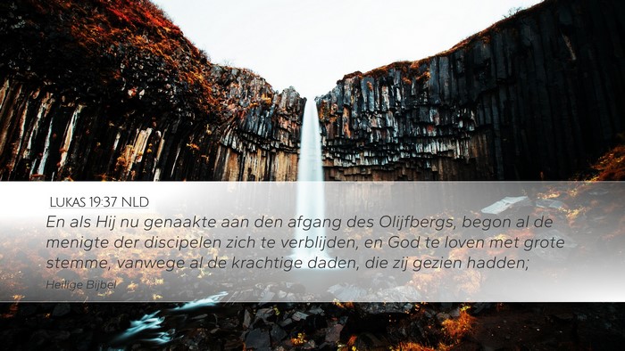 Lukas 19:37 NLD Bible Verse Image