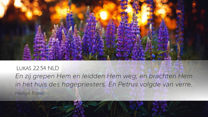 Lukas 22:54 NLD Desktop Wallpaper - En zij grepen Hem en leidden Hem weg, en brachten - Desktop Bible Verse Wallpaper