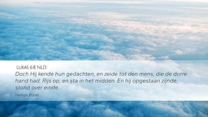 Lukas 6:8 NLD Bible Verse Image