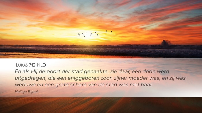 Lukas 7:12 NLD Bible Verse Image