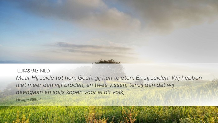 Lukas 9:13 NLD Bible Verse Image