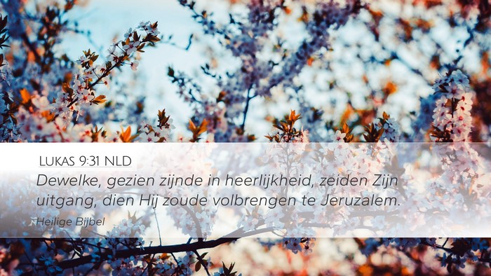 Lukas 9:31 NLD Bible Verse Image