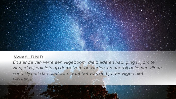 Markus 11:13 NLD Desktop Wallpaper - En ziende van verre een vijgeboom, die bladeren - Desktop Bible Verse Wallpaper