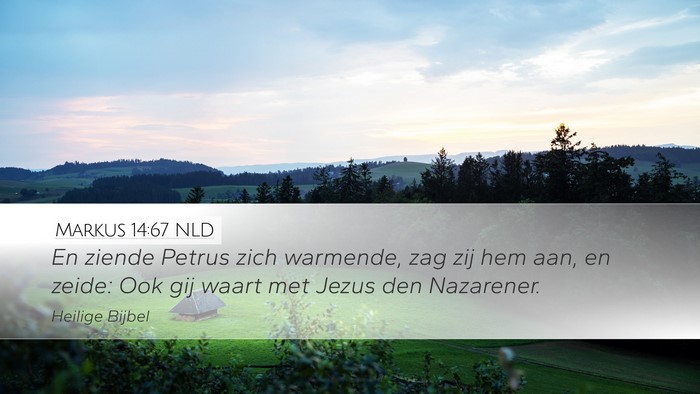 Markus 14:67 NLD Desktop Wallpaper - En ziende Petrus zich warmende, zag zij hem aan, - Desktop Bible Verse Wallpaper