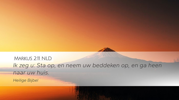 Markus 2:11 NLD Desktop Wallpaper - Ik zeg u: Sta op, en neem uw beddeken op, en ga - Desktop Bible Verse Wallpaper