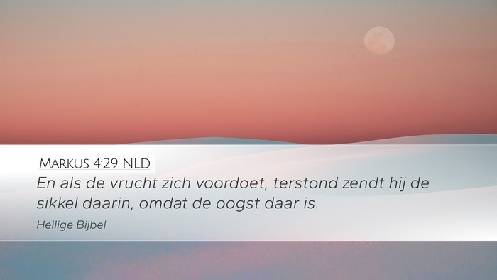Markus 4:29 NLD Bible Verse Image