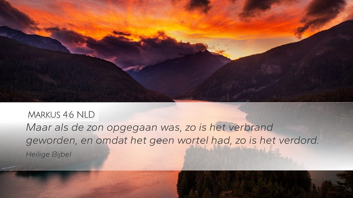 Markus 4:6 NLD Bible Verse Image