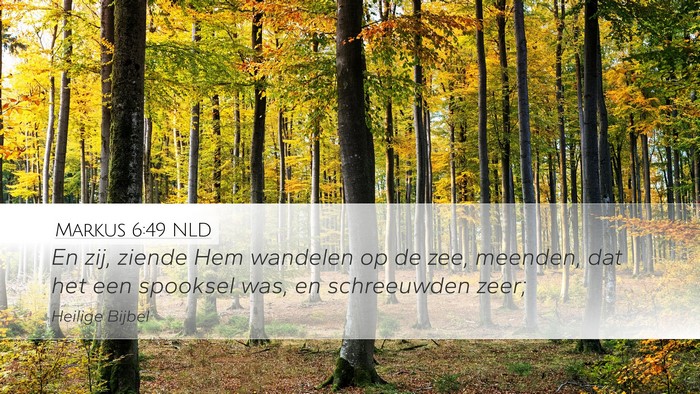 Markus 6:49 NLD Bible Verse Image