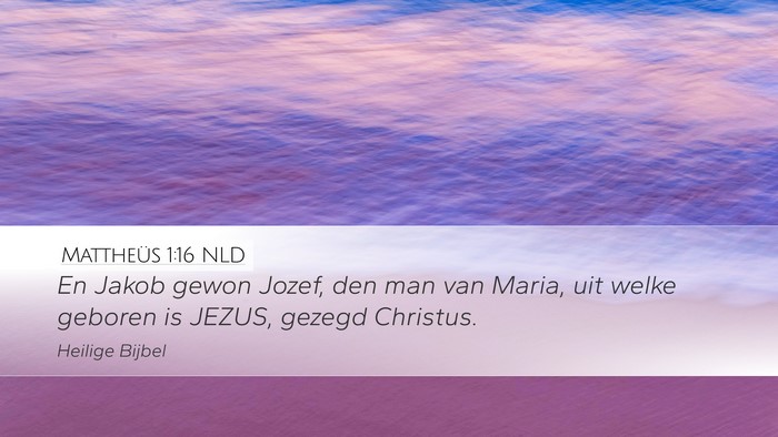 Mattheüs 1:16 NLD Bible Verse Image