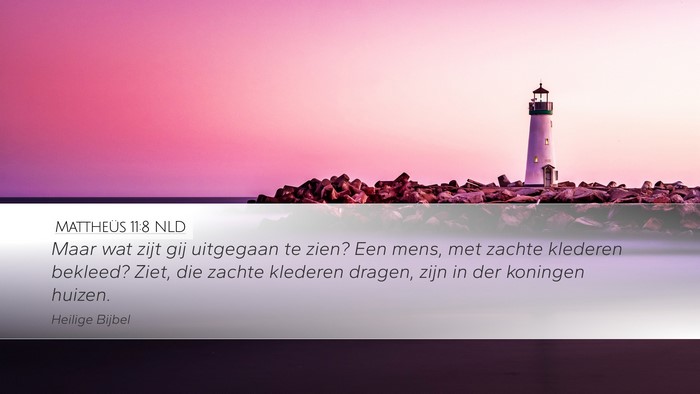 Mattheüs 11:8 NLD Bible Verse Image