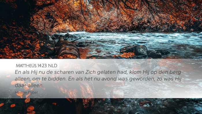 Mattheüs 14:23 NLD Bible Verse Image