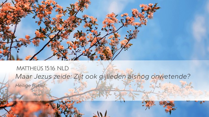 Mattheüs 15:16 NLD Bible Verse Image