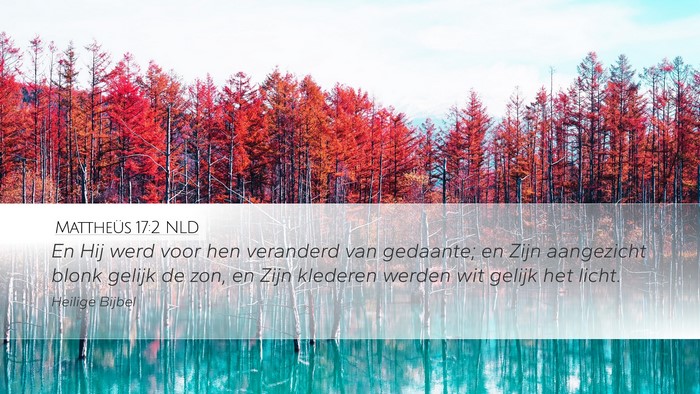 Mattheüs 17:2 NLD Bible Verse Image