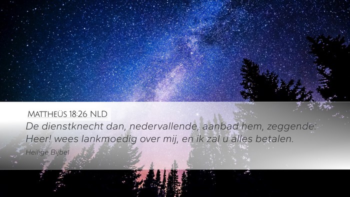Mattheüs 18:26 NLD Desktop Wallpaper - De dienstknecht dan, nedervallende, aanbad hem, - Desktop Bible Verse Wallpaper