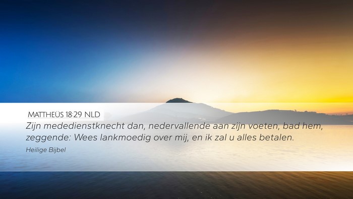 Mattheüs 18:29 NLD Bible Verse Image