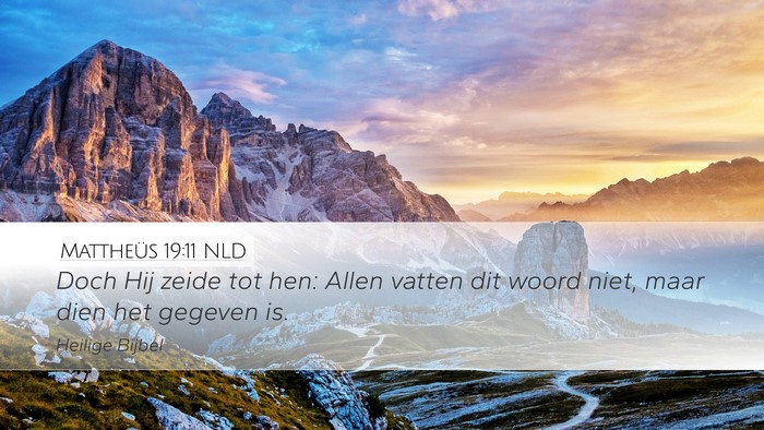 Mattheüs 19:11 NLD Bible Verse Image