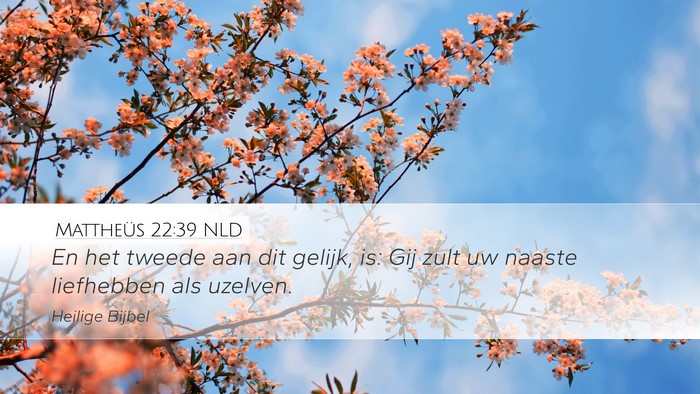 Mattheüs 22:39 NLD Bible Verse Image