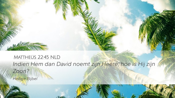 Mattheüs 22:45 NLD Desktop Wallpaper - Indien Hem dan David noemt zijn Heere, hoe is Hij - Desktop Bible Verse Wallpaper