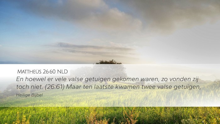 Mattheüs 26:60 NLD Bible Verse Image