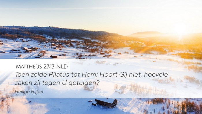 Mattheüs 27:13 NLD Bible Verse Image