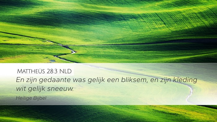 Mattheüs 28:3 NLD Desktop Wallpaper - En zijn gedaante was gelijk een bliksem, en zijn - Desktop Bible Verse Wallpaper