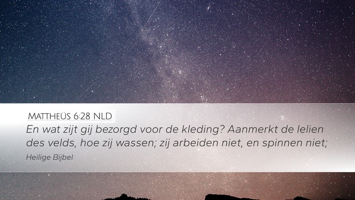 Mattheüs 6:28 NLD Bible Verse Image