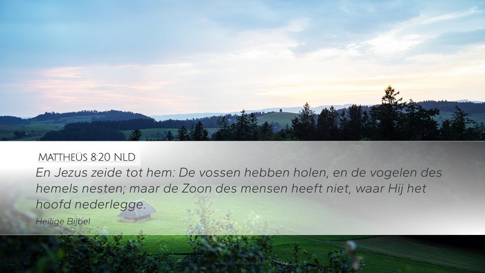 Mattheüs 8:20 NLD Bible Verse Image