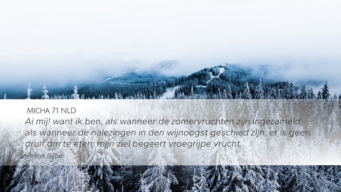 Micha 7:1 NLD Bible Verse Image