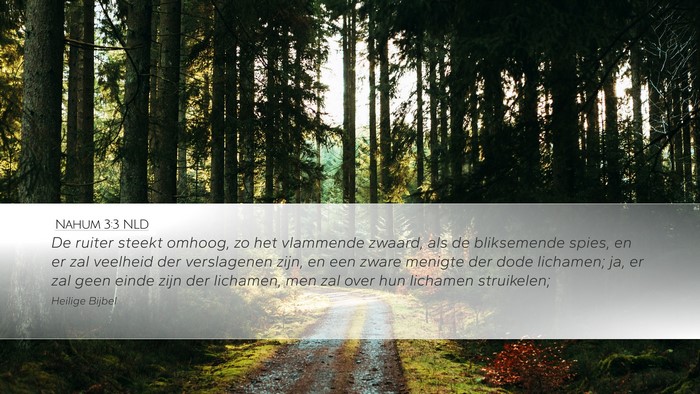 Nahum 3:3 NLD Bible Verse Image