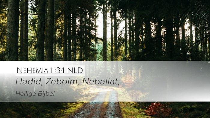 Nehemia 11:34 NLD Bible Verse Image