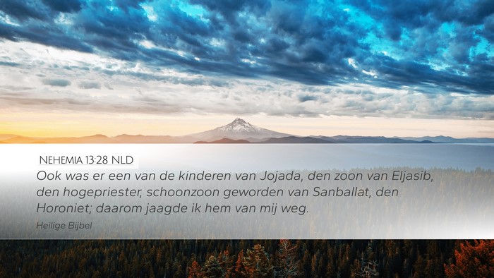 Nehemia 13:28 NLD Bible Verse Image