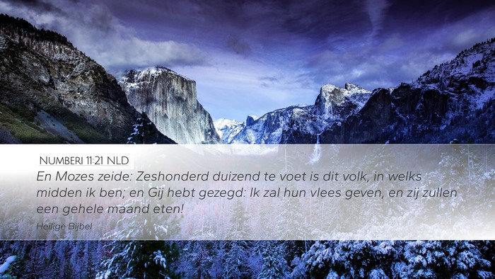 Numberi 11:21 NLD Bible Verse Image